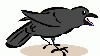bird_crow.gif